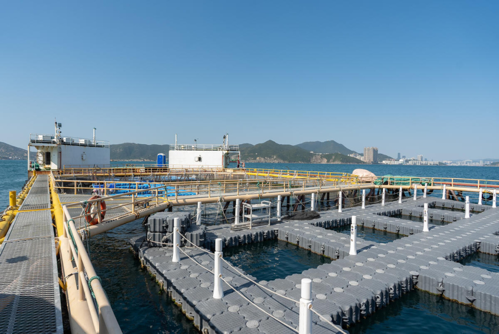 General view of the Tung Lung Chau Mariculture Demonstration Farm. © FAO / &nbsp;Anthony Kwan